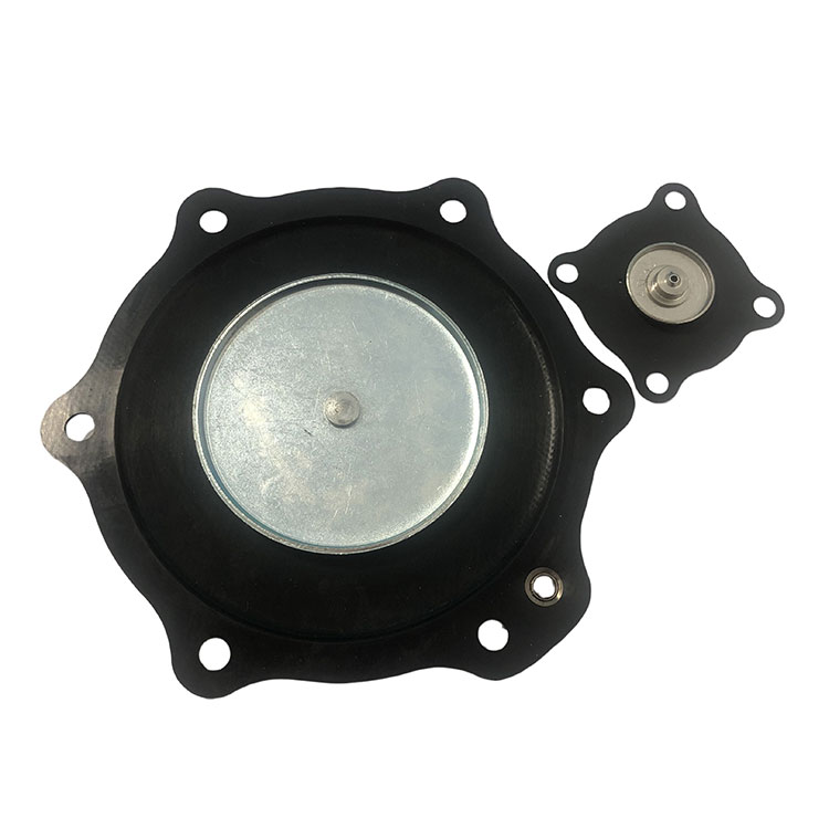 Bộ sửa chữa cơ hoành 2 inch