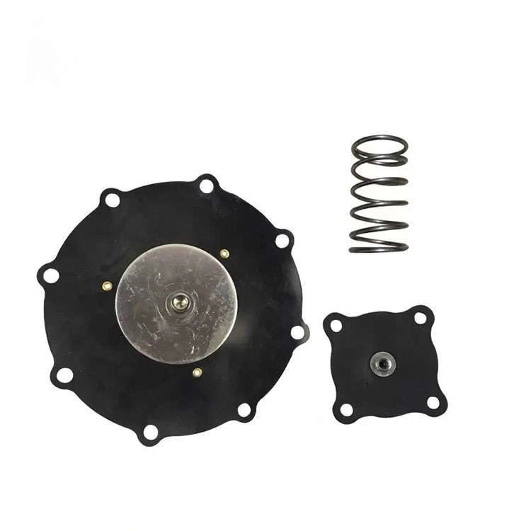 Bộ sửa chữa cơ hoành cho van điện từ góc bên phải 3 inch